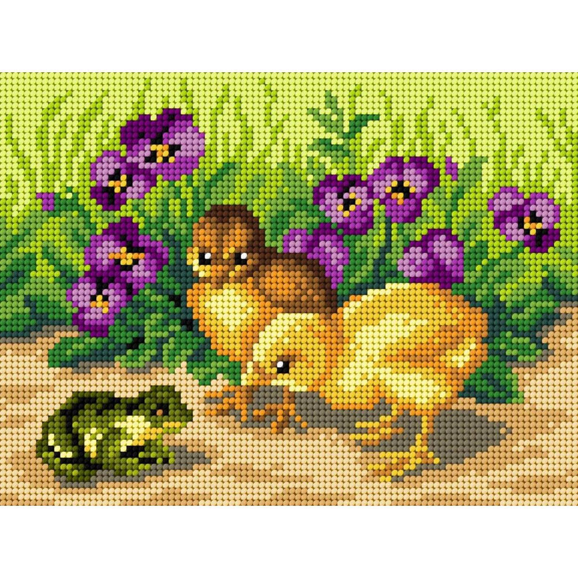 Orchidea Chickens and Frog Gobelin Canvas for Halfstitch without Yarn Kit